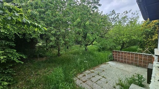 Prodej chaty 21 m², pozemek 390 m² Na Pučálce, Praha - Dejvice