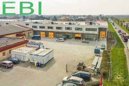 Libiš