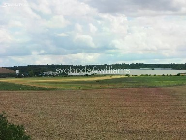 Pronájem výrobní haly, prostoru 7062 m²