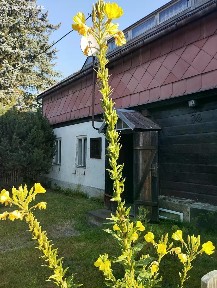 Prodej chalupy 150 m², pozemek 1350 m² Velký Šenov - Leopoldka