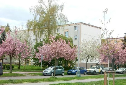 Prodej bytu 3+kk 69 m² třída Svobody, Zlín - Malenovice