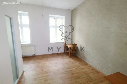 Pronájem bytu 2+kk 54 m² Riegrova, České Budějovice - České Budějovice 3