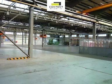 Pronájem výrobní haly, prostoru 4465 m²