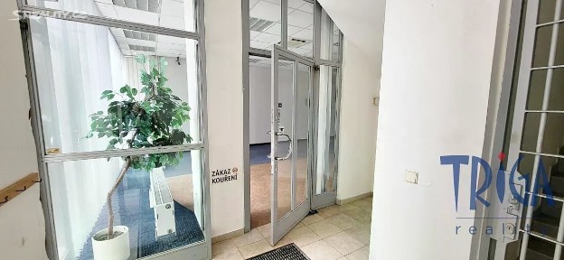 Pronájem obchodního prostoru 318 m² Revoluční, Dvůr Králové nad Labem