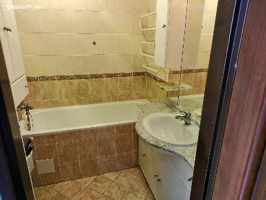 Pronájem bytu 3+1 83 m² Nová Ves - Louka