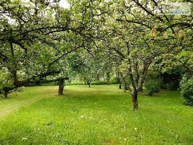 Prodej chalupy 130 m², pozemek 1018 m² Supíkovice