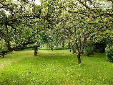 Prodej chalupy 130 m², pozemek 1018 m²