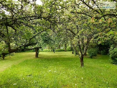 Supíkovice
