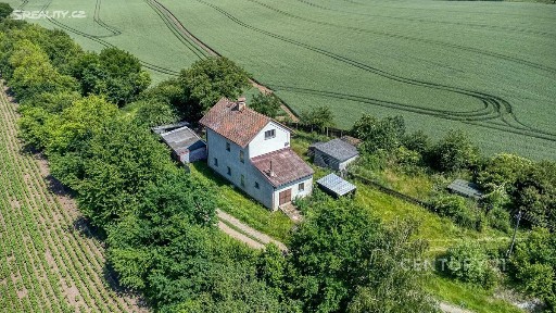 Močovice