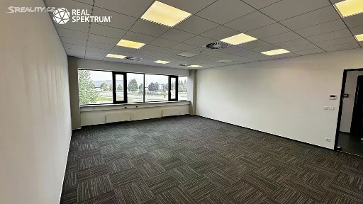 Pronájem kanceláře 294 m²