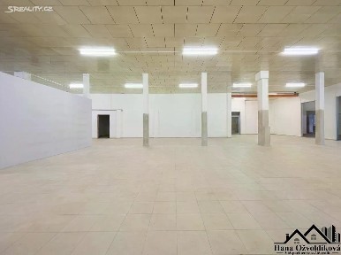Pronájem obchodního prostoru 450 m²