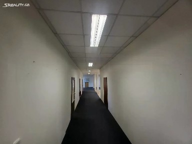 Pronájem kanceláře 350 m²