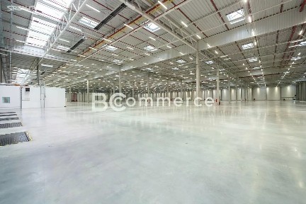 Pronájem skladového prostoru 5250 m²