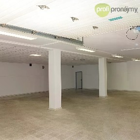 Pronájem skladového prostoru 280 m² Palánek, Vyškov - Brňany