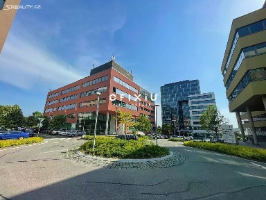Pronájem kanceláře 250 m²