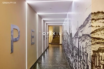 Pronájem kanceláře 505 m² Masarykova, Brno - Brno-město