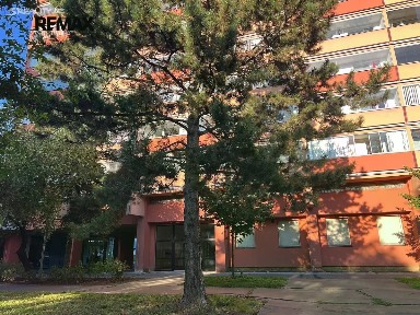 Prodej bytu 1+1 40 m² Bínova, Praha - Střížkov