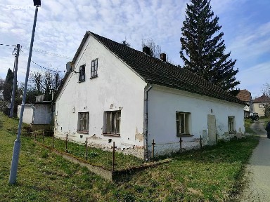 Tisová