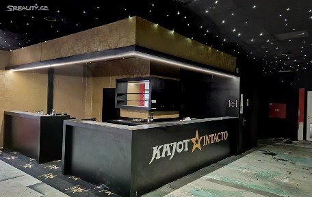 Pronájem obchodního prostoru 440 m²