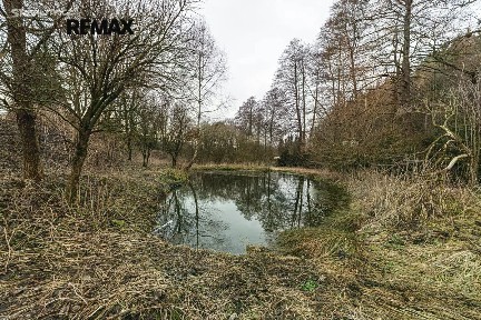Červená Voda, Ústí nad Orlicí, Dolní Orlice