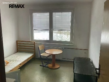 Pronájem bytu pokoje 12 m² Bor - Čečkovice