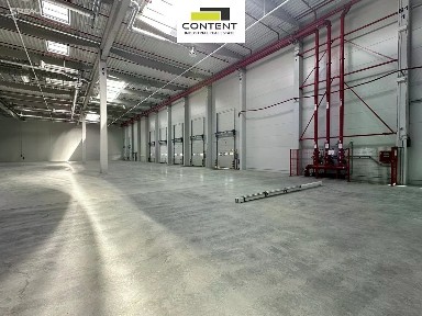 Pronájem skladového prostoru 25754 m² Droužkovická, Údlice
