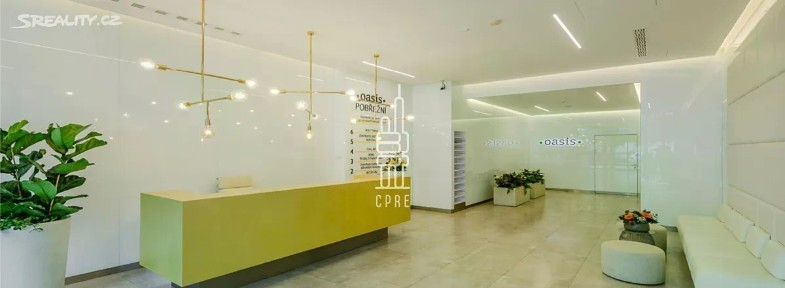 Pronájem kanceláře 233 m² Sokolovská, Praha - Karlín