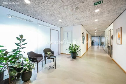 Pronájem kanceláře 102 m²