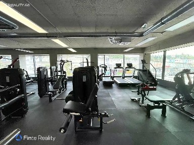 Prodej obchodního prostoru 291 m²