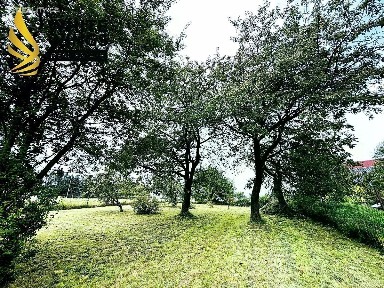 Velké Petrovice, Náchod, Petrovice