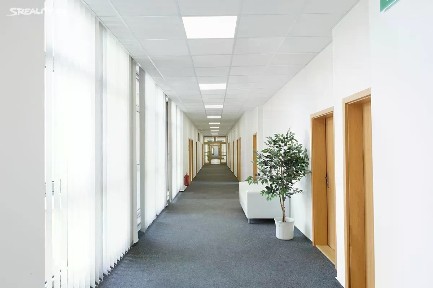 Pronájem kanceláře 35 m²