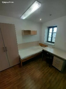 Pronájem bytu pokoje 25 m² Kapucínská, Olomouc