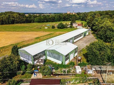 Hluchov, Brandýs nad Labem-Stará Boleslav - Stará Boleslav