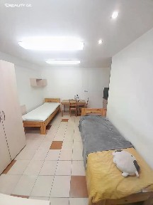 Pronájem bytu pokoje 18 m² Kapucínská, Olomouc