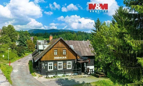 Prodej ubytovacího zařízení 374 m² Rokytnice nad Jizerou