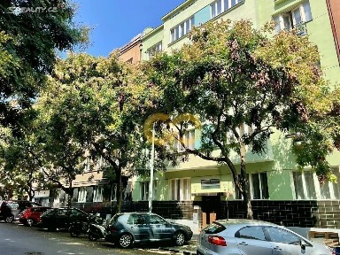 Pronájem bytu 2+1 42 m² Přemyslovská, Praha - Žižkov