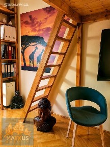 Pronájem bytu 1+1 30 m² Konviktská, Praha - Staré Město