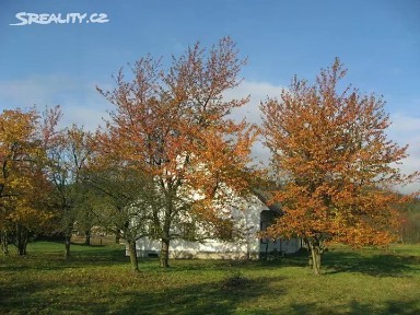 Králíky, Ústí nad Orlicí, Heřmanice