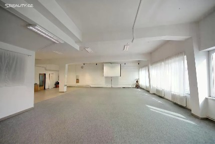Pronájem obchodního prostoru 219 m²