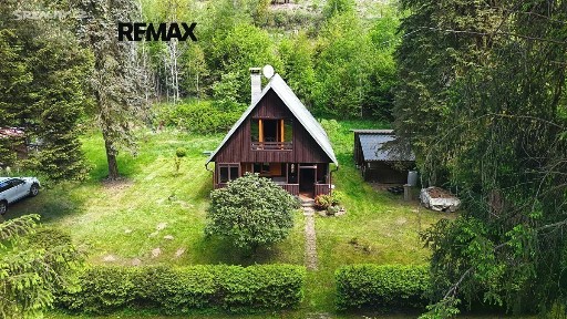 Planá - Vížka