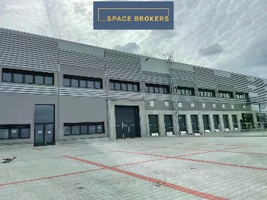 Pronájem skladového prostoru 5262 m²