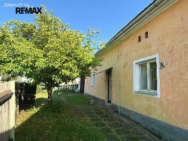 Bzová