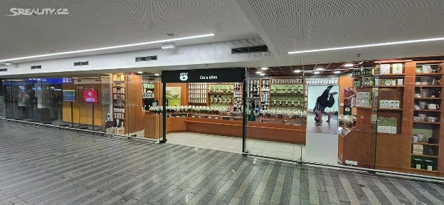 Pronájem obchodního prostoru 42 m² Wilsonova, Praha - Vinohrady