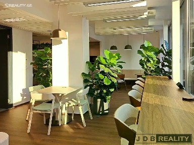 Pronájem kanceláře 20 m² Lomnického, Praha - Nusle