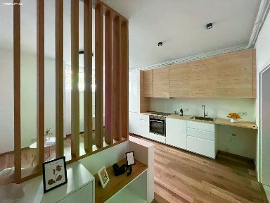Prodej bytu 1+kk 25 m² Soběslavská, Praha - Vinohrady