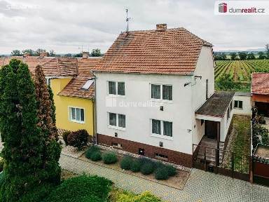 Padělky, Tvrdonice