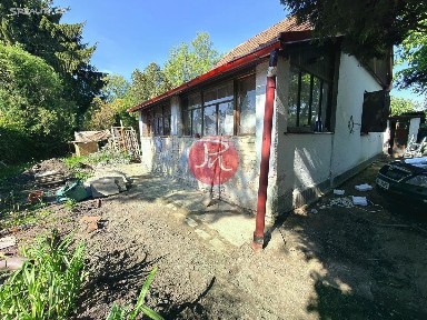 Slepá, Svojetice
