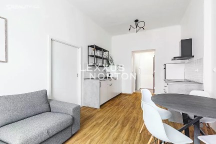 Pronájem bytu 2+kk 43 m² Mánesova, Praha - Vinohrady