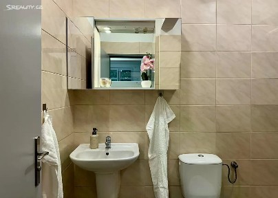Pronájem bytu 2+kk 43 m² Mánesova, Plzeň - Jižní Předměstí