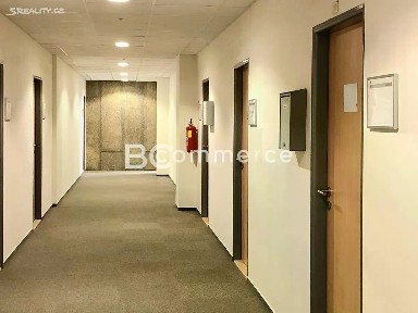 Pronájem kanceláře 37 m² Brno - Veveří